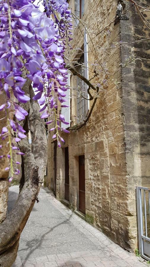Le Rousseau Sarlat Daire Dış mekan fotoğraf